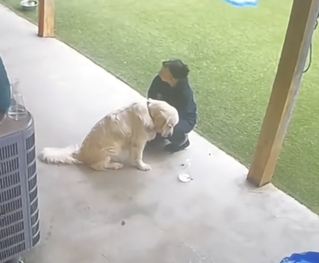 Dog Left Behind At Daycare Has The Saddest Little Face